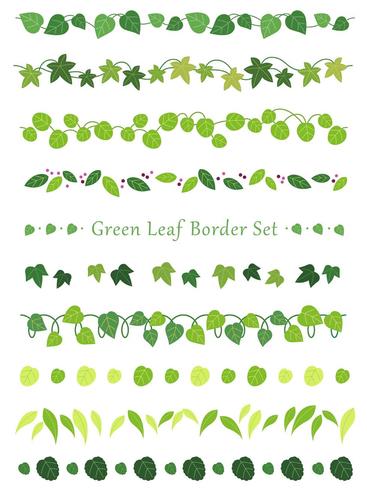 A set of assorted leaf borders. vector