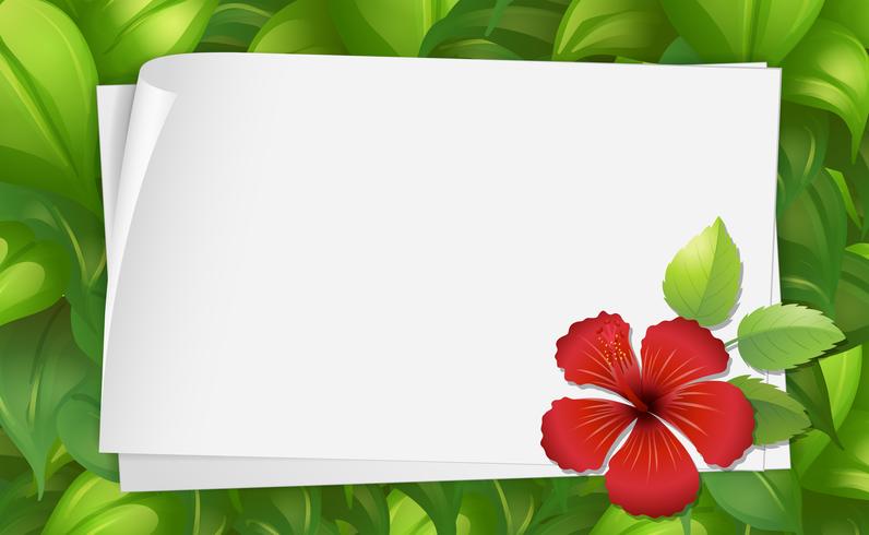 Border template with hibiscus flower vector