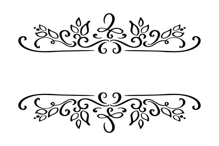 Hand drawn border flourish separator Calligraphy designer element vector