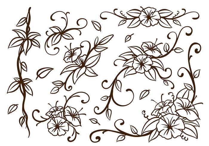 Liana Swirl Flower Vector