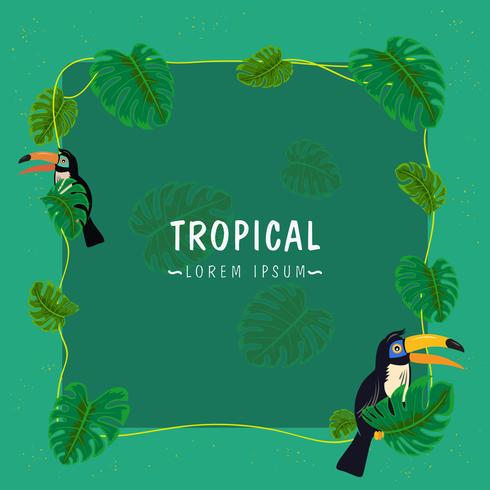 Tropical Palm Border vector