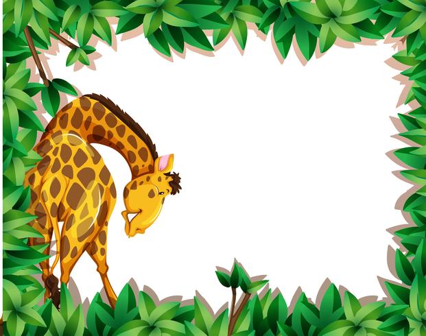 A giraffe on nature border vector