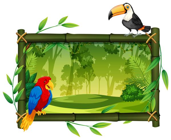Birds on jungle picture frame vector