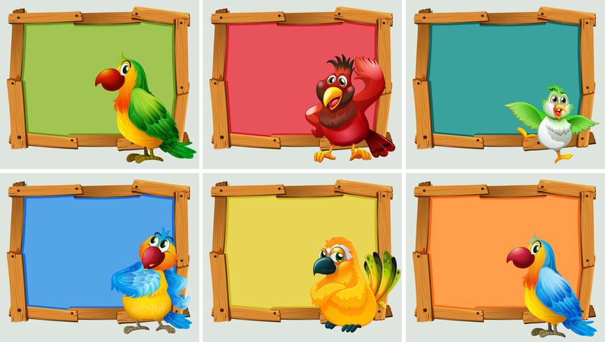 Frame design with parrots vector