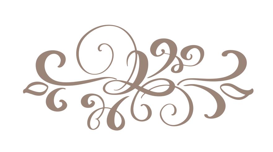 Hand drawn border flourish separator Calligraphy designer elements vector