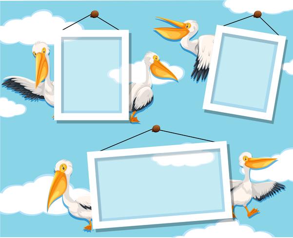 Pelican on photo frame vector