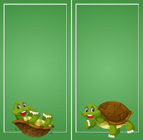 Turtle on green border vector