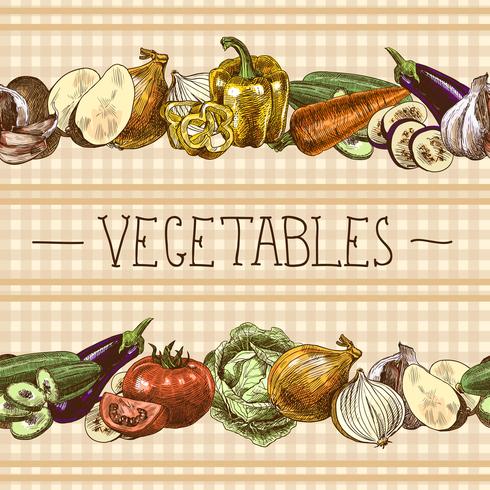 Vegetables seamless pattern border vector